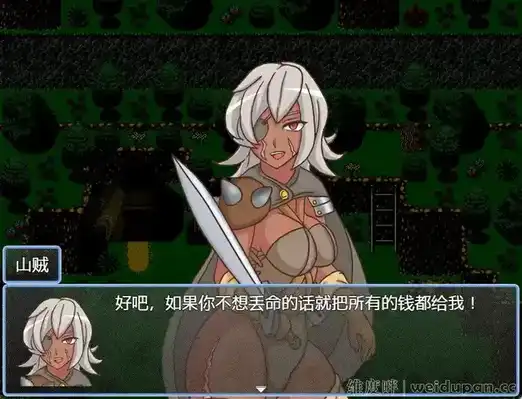 【RPG游戏】山贼任务 山贼クエスト v1.02汉化版